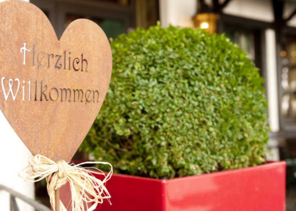 Ringhotel Boemers Mosel Landhotel Альф Экстерьер фото